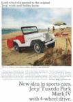 Jeep 1965 25-04.jpg